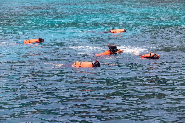 Snorkeling na rafie koralowej.