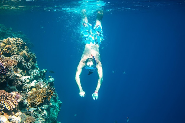 snorkeling