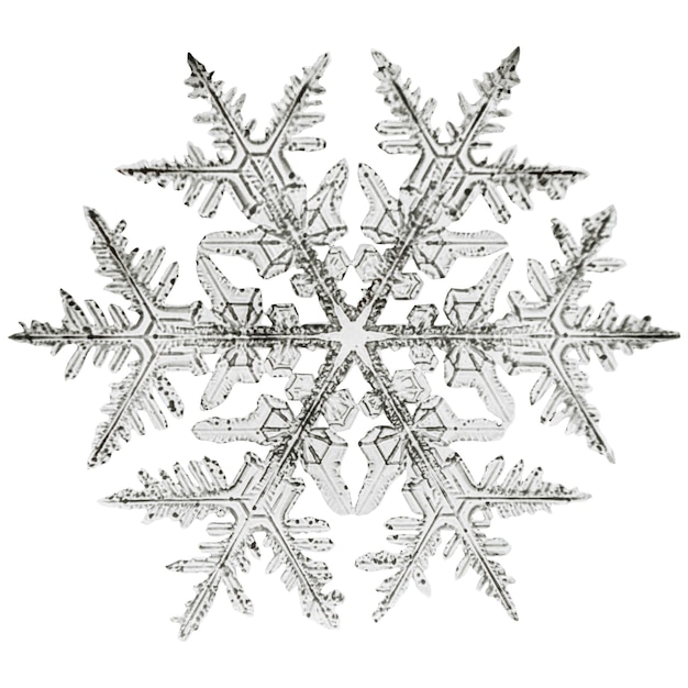 Snowflake png ornament świąteczny makro fotografia remix fotografii Wilsona Bentley