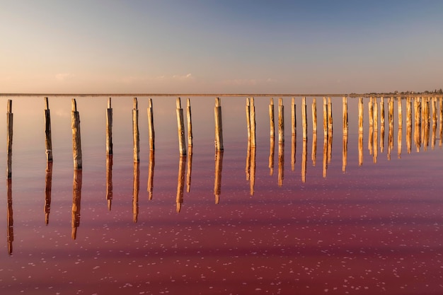 Sól na różowym słonym jeziorze o zachodzie słońca Różowe słone jezioro Torrevieja