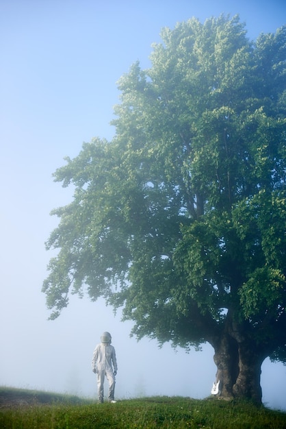 Spaceman i stare duże drzewo na zielonej, mglistej łące