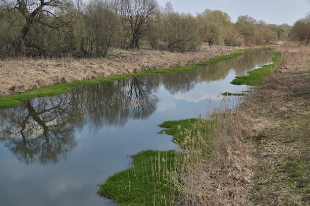 Zdjęcie spacer brzegiem rzeki śnieżet