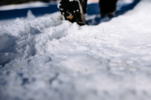 Zdjęcie spacer po zaśnieżonej ścieżce. zbliżenie
