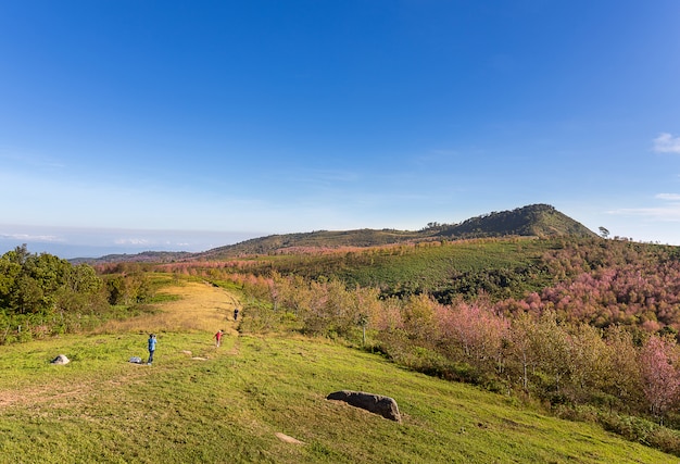 Spacer turystyczny i zrobić zdjęcie na wzgórzu z kwiatami sakura