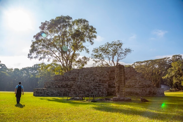 Spacer Wśród Piramid Majów W świątyniach Copan Ruinas Honduras