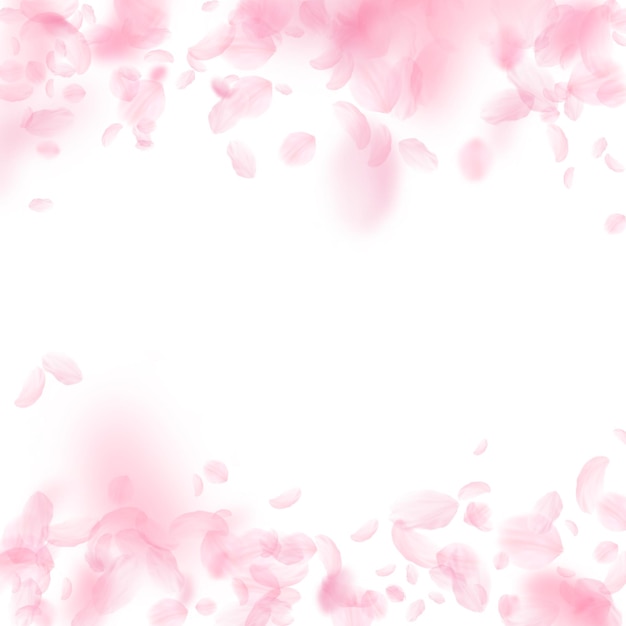 Spadające płatki Sakury Romantyczne różowe kwiaty padający deszcz Latające płatki na białym tle kwadratu Miłość romantyczna koncepcja Żywe zaproszenie na ślub