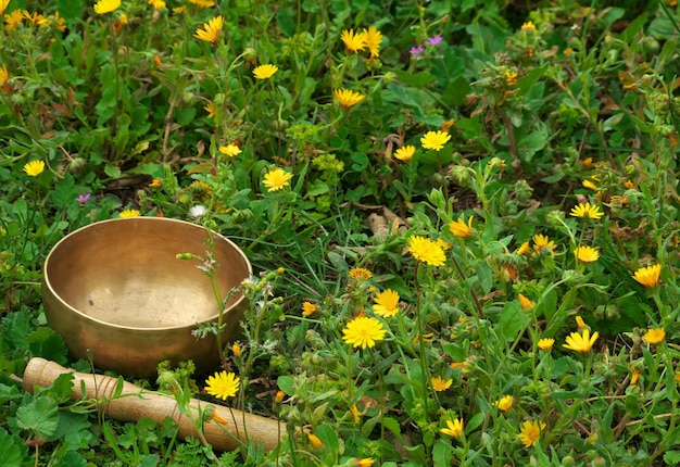 Śpiewająca miska umieszczona w trawie z żółtymi kwiatami