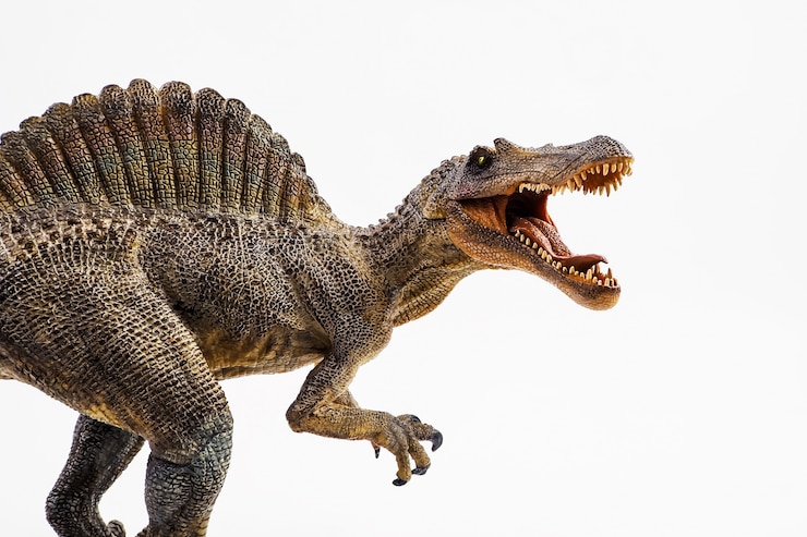 Zdjęcie spinosaurus, dinozaur na białym tle