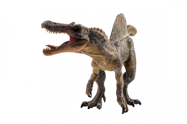 Spinosaurus, Dinozaur Na Białym Tle