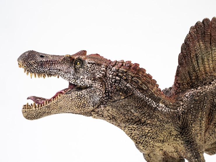 Zdjęcie spinozaur, dinozaur na białym tle