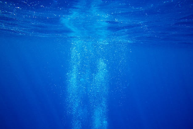 Spokojna podwodna scena z kopii przestrzenią