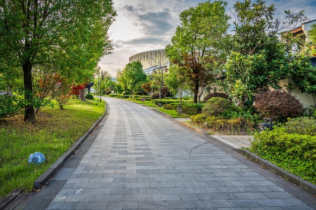 Spokojna ścieżka przez zielony park