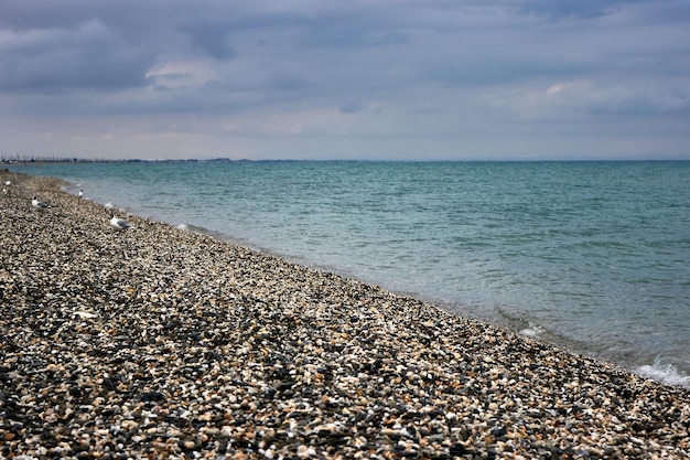 Spokojne błękitne morze wieczorem Widok na taflę wody z kamienistej plaży Mewy