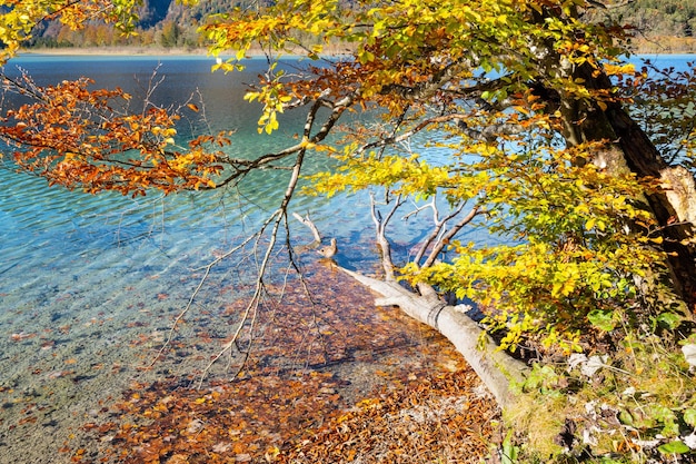 Spokojne jesienne Alpy górskie jezioro Offensee jezioro Salzkammergut Górna Austria