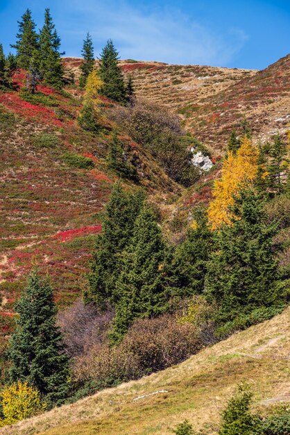 Spokojne jesienne Alpy słoneczny widok ze szlaku turystycznego z Dorfgastein do jezior Paarseen Land Salzburg Austria