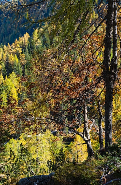 Spokojne jesienne Alpy z widokiem na las górski Reiteralm Steiermark Austria