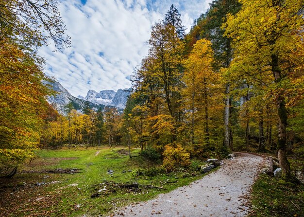 Spokojne jesienne Alpy z widokiem na las górski W pobliżu jeziora Gosauuseen lub Vorderer Gosausee Górna Austria