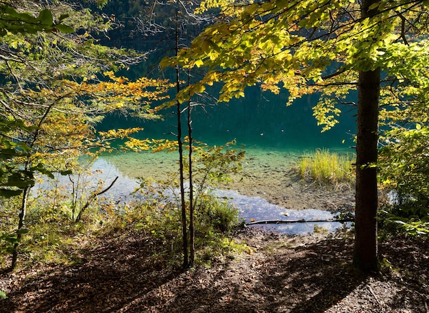 Spokojne jesienne górskie jezioro w Alpach z przejrzystą, przejrzystą wodą i refleksami Jezioro Langbathseen Górna Austria