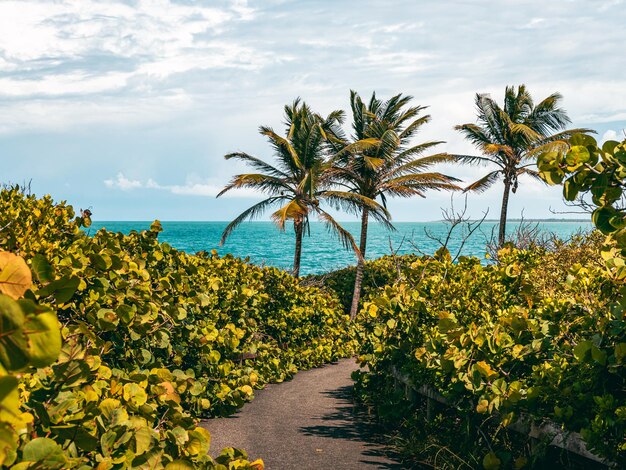 Spokojne tropikalne wybrzeże z ładnymi widokami i szlakami z plaży Puerto Rico Piñones la posita