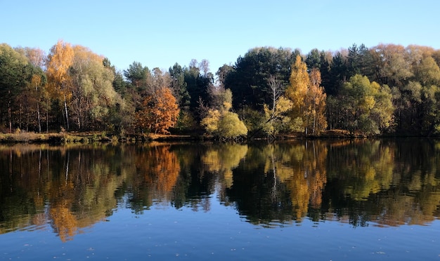 Spokojny jesienny krajobraz wsi z cichą rzeką i pstrokatym jesiennym kolorowym lasem po nim