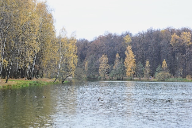 Spokojny jesienny park z opadłymi liśćmi i stawem - jesienny krajobraz