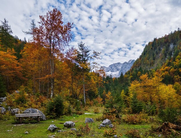Spokojny jesienny widok na las górski Alpy W pobliżu jeziora Gosauseen lub Vorderer Gosausee Górna Austria Szczyt Dachstein i lodowiec w oddali
