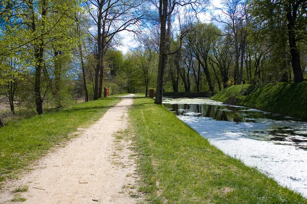 Spokojny krajobraz wiosenny z rzeką z zielonymi roślinami wodnymi w ciepły dzień