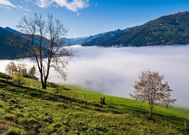 Spokojny, mglisty jesienny poranek widok na góry ze szlaku turystycznego z Dorfgastein do jezior Paarseen Land Salzburg Austria