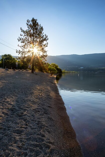 Spokojny widok na jezioro drewna z odbiciem na wodzie i górami w tle