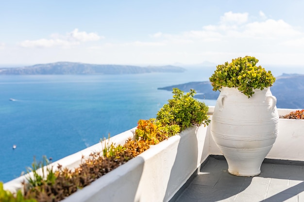 Spokojny widok na morze i wulkan z białej kaldery z kwiatami podróży na wyspę Santorini w Grecji