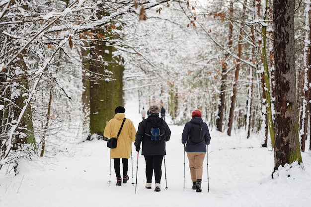 Sporty Zimowe Nordic Walking. Kobiety W Parku