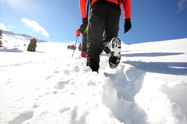 Sporty zimowe Zajęcia grup alpinistycznych