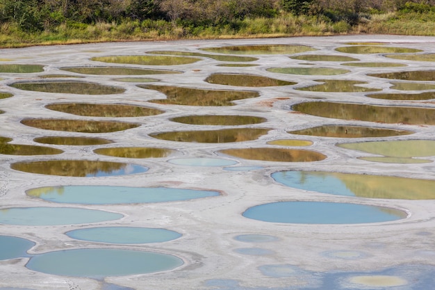 Zdjęcie spotted lake w kolumbii brytyjskiej w kanadzie