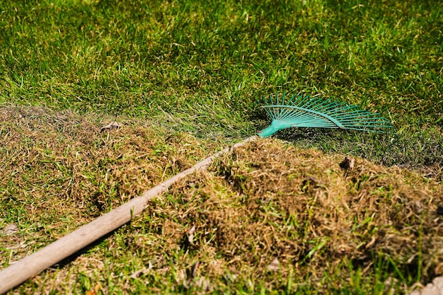 Sprzątanie Ogrodu Grabienie Suchej Trawy W Ogrodzie Wczesną Wiosną Zdjęcia Wysokiej Jakości