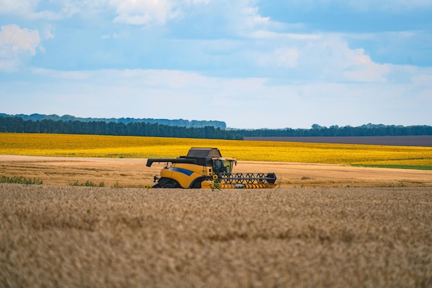Sprzęt do zbioru zbóż w polu Sektor rolniczy Zbiór to proces zbierania dojrzałych plonów z pól