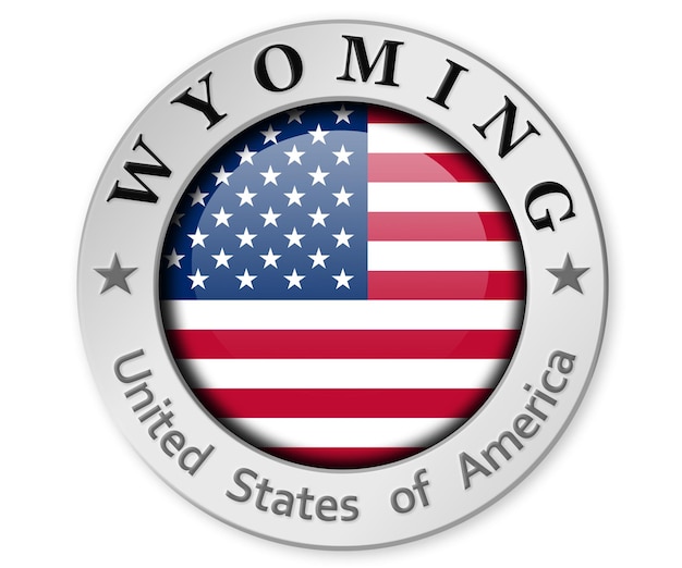 Srebrna odznaka z flagą Wyoming i USA