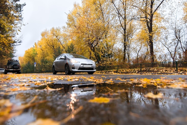 Srebrny Hatchback Na Jesiennej Drodze W Deszczowy Dzień