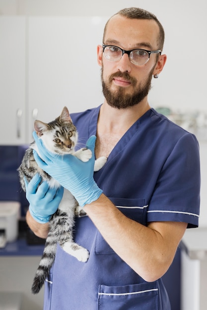 Zdjęcie Średnio strzał lekarz w okularach trzyma ładny kot
