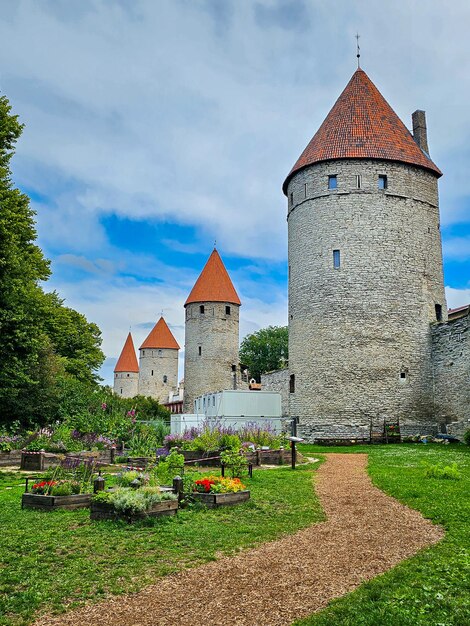 Średniowieczne mury miasta Tallinn, stolicy Estonii