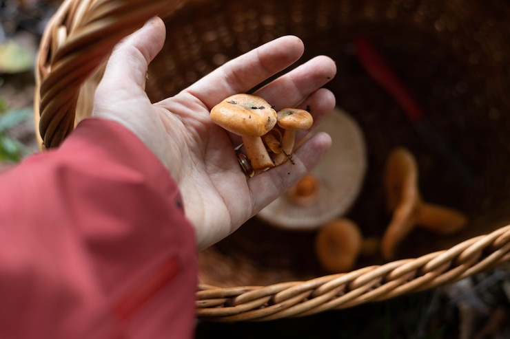 Zdjęcie środkowa część kobiety trzymającej ślimaka