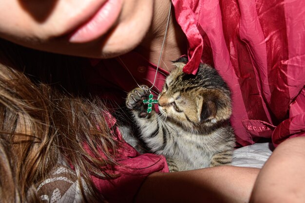 Zdjęcie Środkowa sekcja kobiety z kotem