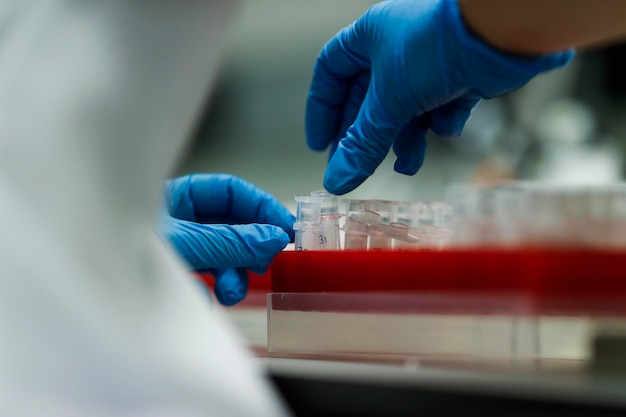 Środkowa sekcja naukowca badającego substancje chemiczne w laboratorium