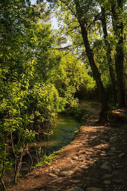 Środowisko naturalne rzeki Majaceite między miastami El Bosque i Benamahoma Cadiz