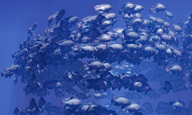 Stada ryb pływają w grupach podwodny krąg świeci w dół mnóstwo tilapia pływa w grupach lub w grupach naturalnie podwodne stada ryb są karmione dla jedzenia 3D Rendering
