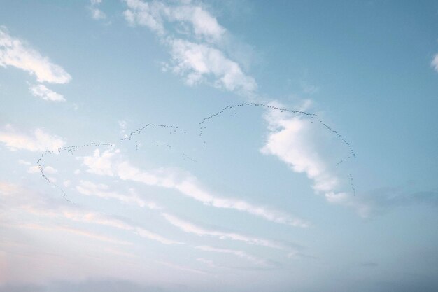 Stado Ptaków Na Niebie W Glen Coe, Szkocja