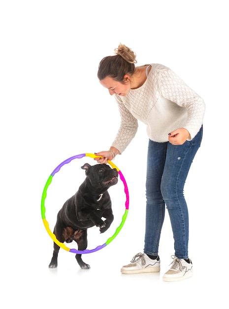 Staffordshire bull terrier i właściciel przed białym tłem
