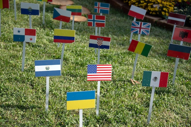 Zdjęcie stany zjednoczone i stany zjednoczone wiele flag na tle trawy