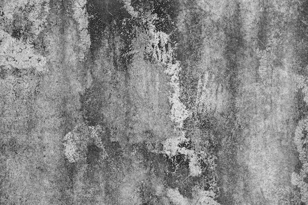 Stara betonowa ściana w czarno-białym kolorze cementowa ściana zepsuta ściana tekstura tło kamień flor