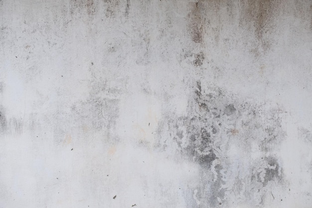 Stara betonowa ściana w czarno-białym kolorze cementowa ściana zepsuta ściana tekstura tło kamień flor