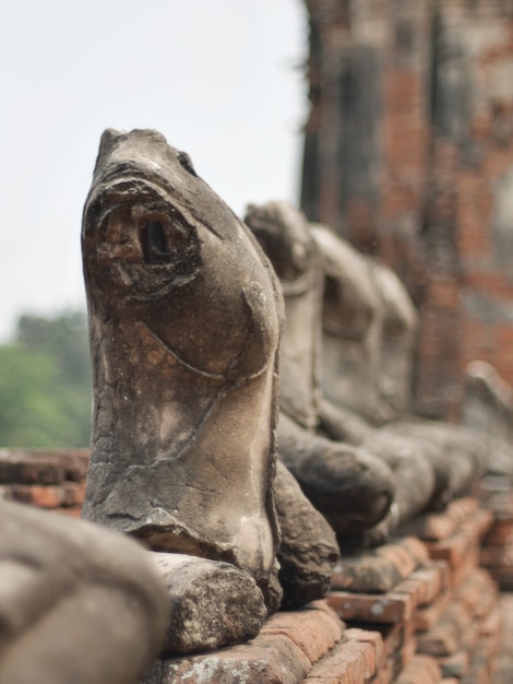 Stara Buddha statua w Ayutthaya dziejowym parku